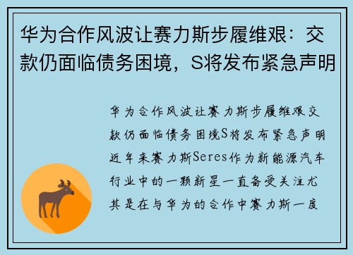 华为合作风波让赛力斯步履维艰：交款仍面临债务困境，S将发布紧急声明
