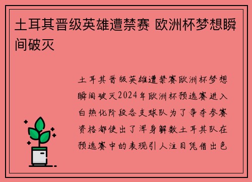 土耳其晋级英雄遭禁赛 欧洲杯梦想瞬间破灭